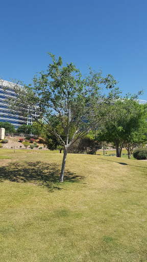 Park «Tempe Beach Park», reviews and photos, 80 W Rio Salado Pkwy, Tempe, AZ 85281, USA