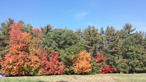 Robert Frost Farm State Historic Site - photo 59