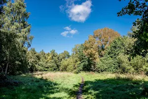 Hawley Meadows and Blackwater Park image
