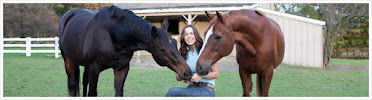 Horse Show Tutor - Photo 4 - Car repair in Wellington, FL, West Palm Beach