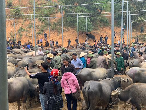 Top 17 cửa hàng elite Huyện Pác Nặm Bắc Kạn 2022