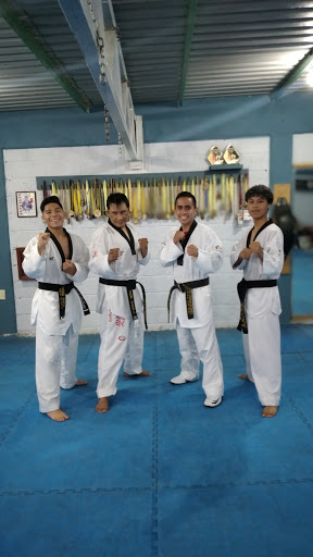 Escuela De Taekwondo 