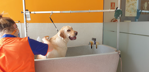 Clínica Veterinaria Nexo As Pontes en As Pontes de García Rodríguez
