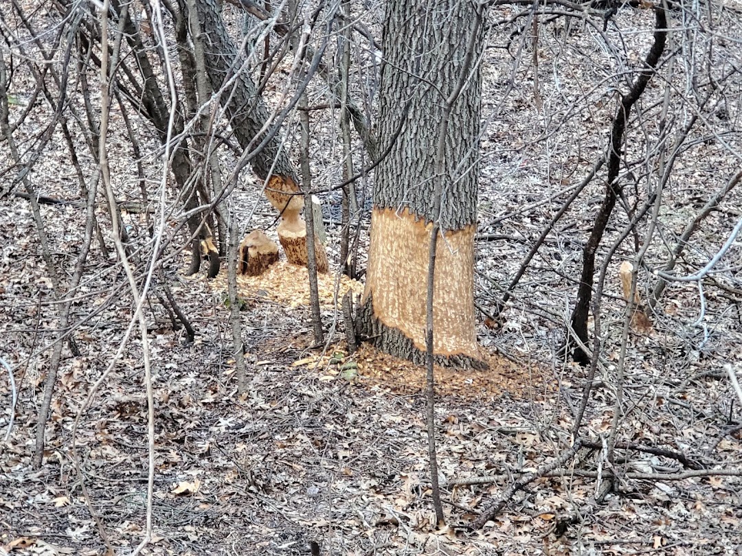 Sequoit Creek Path