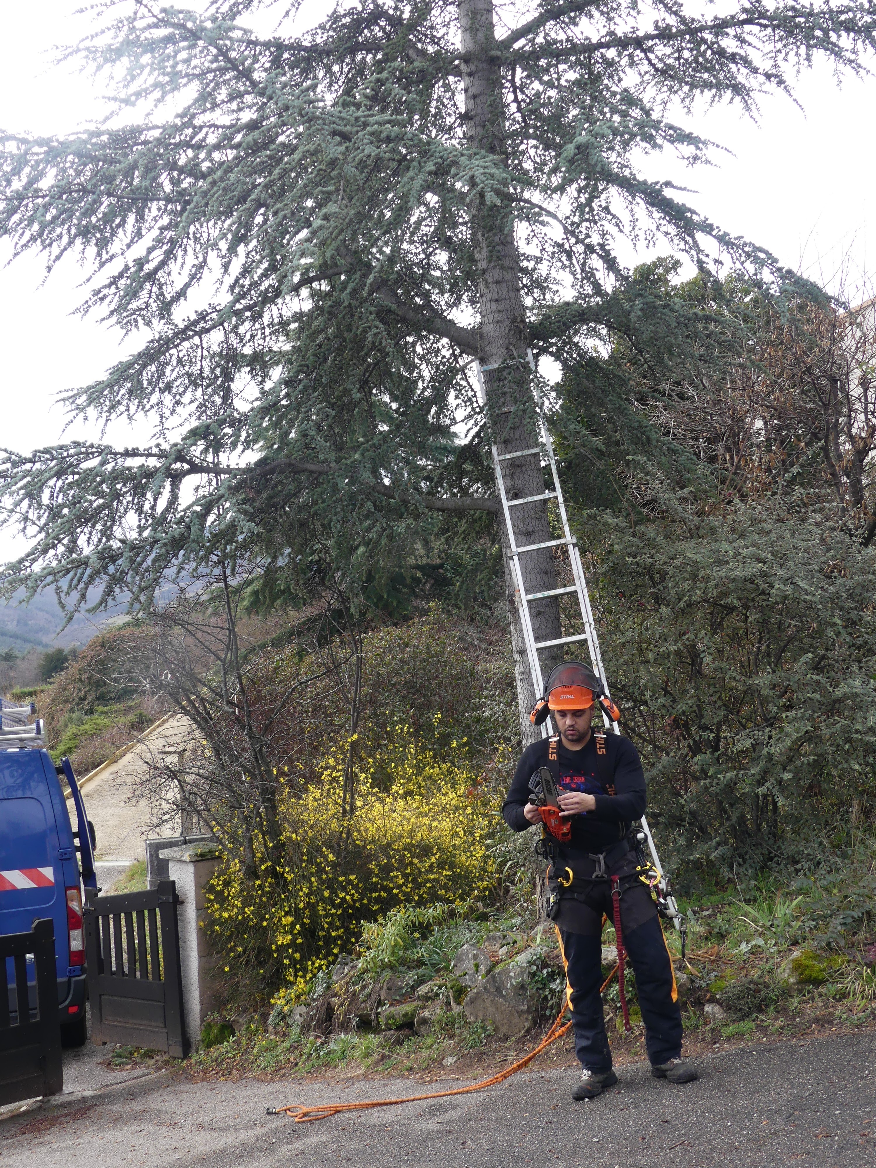 Photo n° 1 de l'avis de Rivel-Ruffin.h fait le 12/02/2024 à 14:34