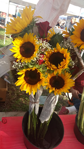 Marina «Fort Pierce City Marina», reviews and photos, 1 Avenue A, Fort Pierce, FL 34950, USA