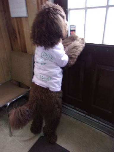 Used Car Dealer «D+S Auto Sales», reviews and photos, 7957 PA-873, Slatington, PA 18080, USA