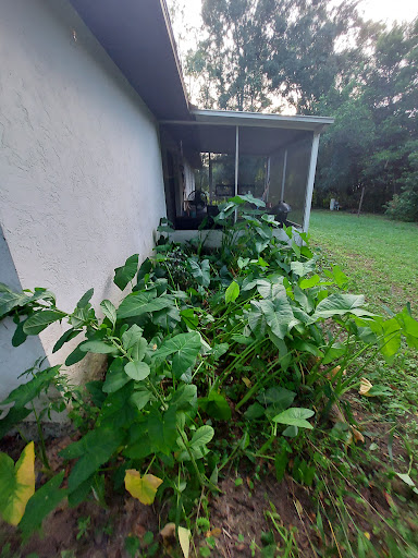 Roofing Contractor «Bowles Roofing», reviews and photos, 5891 SE 78th St, Ocala, FL 34472, USA