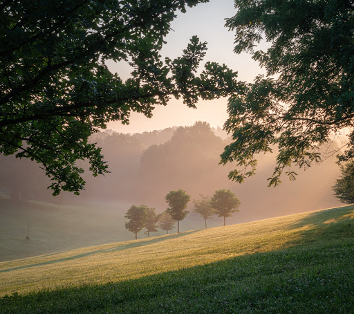 Park «Cherokee Park», reviews and photos, 745 Cochran Hill Rd, Louisville, KY 40206, USA