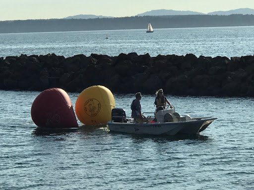 Park «Golden Gardens Park», reviews and photos, 8498 Seaview Pl NW, Seattle, WA 98117, USA