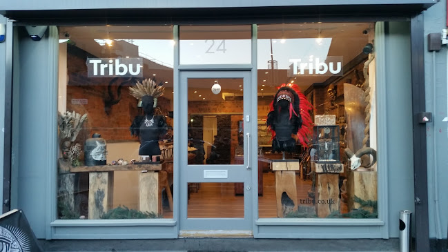 Tribu London Ltd