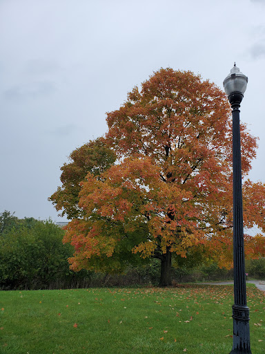 Stadium «Ohio Stadium», reviews and photos, 411 Woody Hayes Dr, Columbus, OH 43210, USA