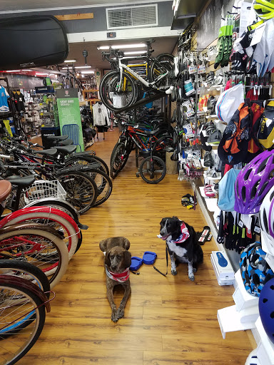 Bicycle store Norfolk
