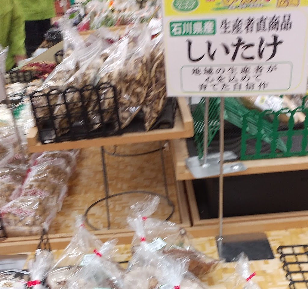 株式会社 金沢東洋医学社