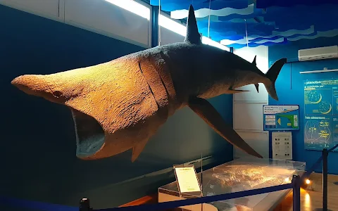 Marine Biology Museum image