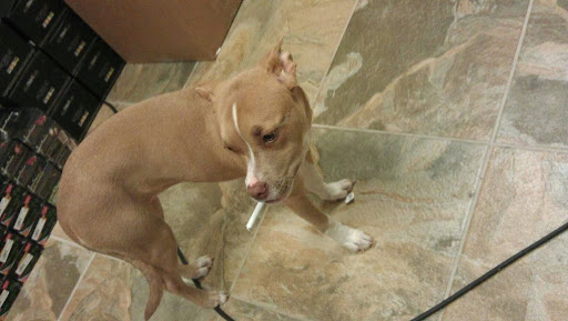 Tobacco Shop «Pipeline Smoke and Vape Shop», reviews and photos, 967 South Marietta Pkwy SE, Marietta, GA 30060, USA