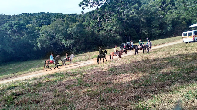 Passeios em Curitiba - Special Paraná - Curitiba