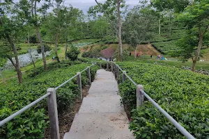 Dullabcherra Tea Estate image