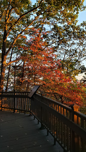 National Park «Cumberland Gap National Historical Park», reviews and photos, 91 Bartlett Park Road, Middlesboro, KY 40965, USA