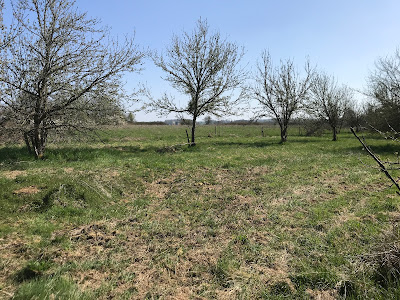 La Ferme d'Apolline à Tourouvre au Perche