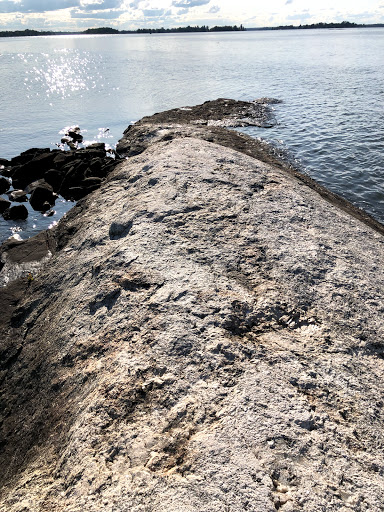 National Park «Voyageurs National Park», reviews and photos