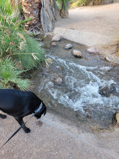 Park «Evelyn Hallman Park», reviews and photos, 1900 N College Ave, Tempe, AZ 85281, USA