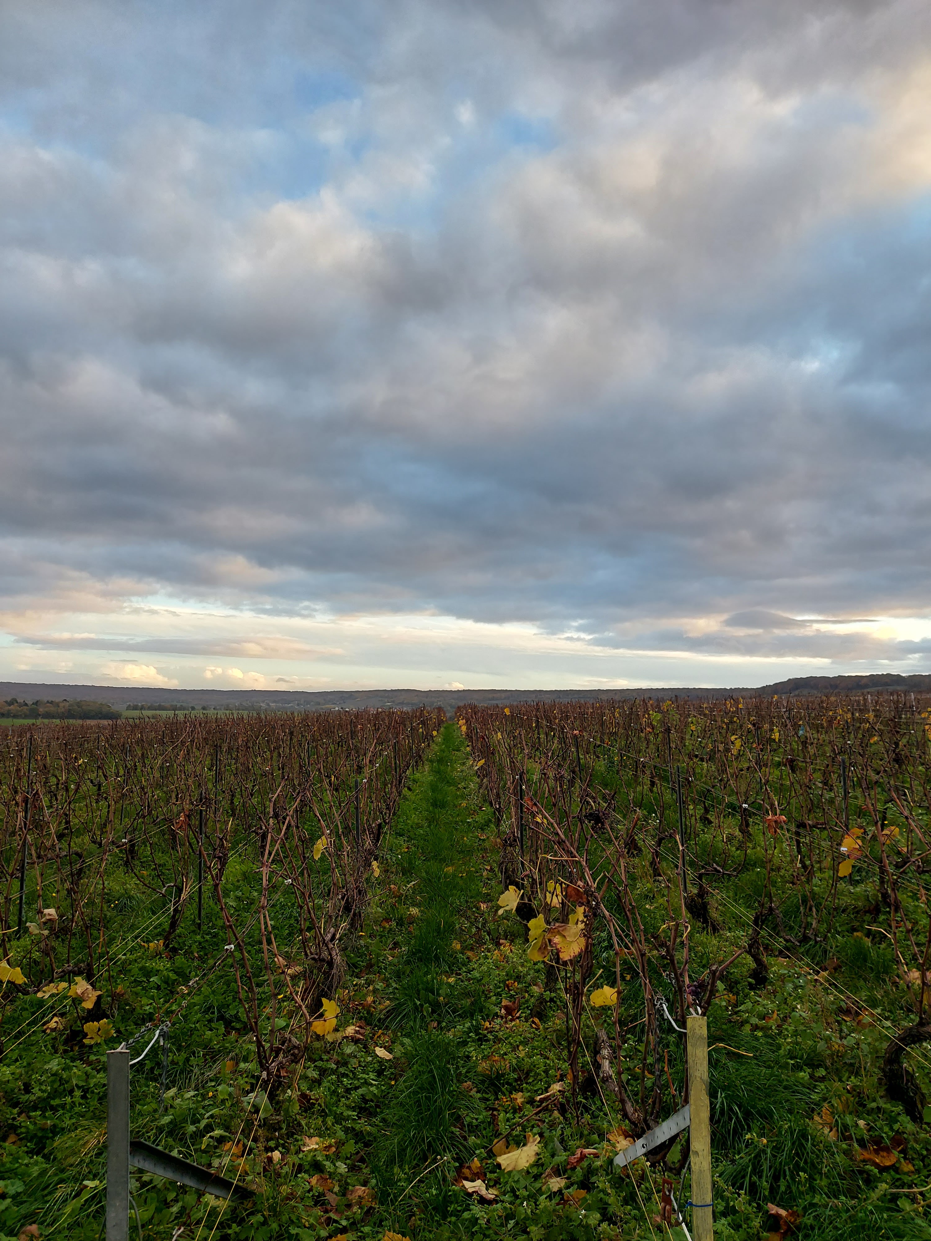 Photo n° 10 de l'avis de Reino.a fait le 17/11/2022 à 16:27