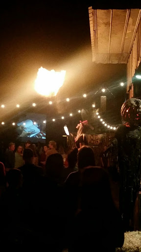 Theme Park «Talon Falls», reviews and photos, 2932 KY-849, Melber, KY 42069, USA