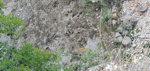 Park «Government Canyon State Natural Area», reviews and photos, 12861 Galm Rd, San Antonio, TX 78254, USA