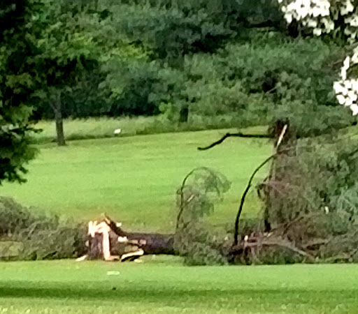 Park «Delcastle Recreational Park», reviews and photos, 2920 Duncan Rd, Wilmington, DE 19808, USA