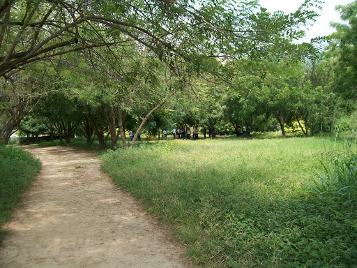 Parque