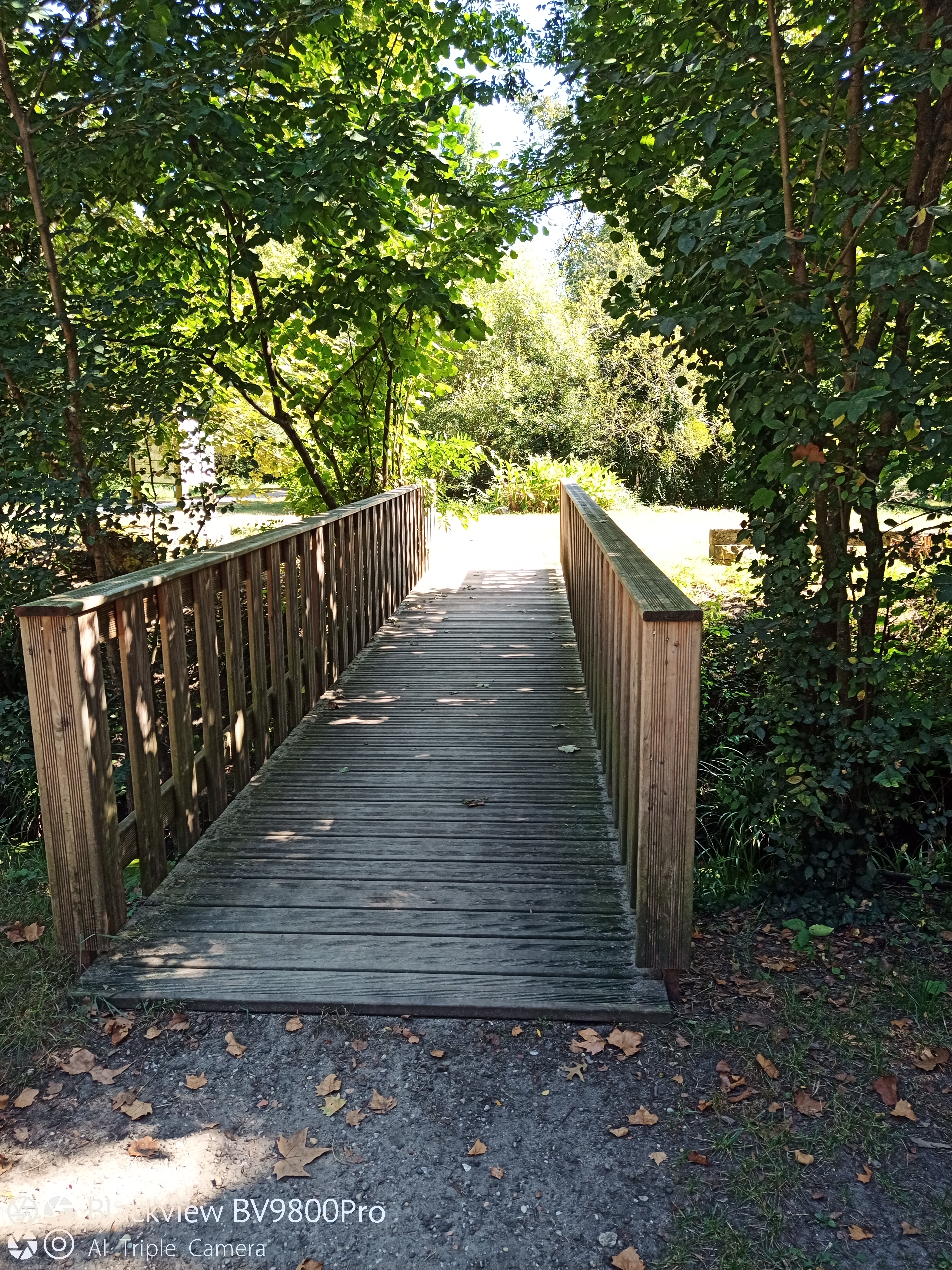 Photo n° 5 de l'avis de Gilles.A fait le 16/09/2021 à 12:47