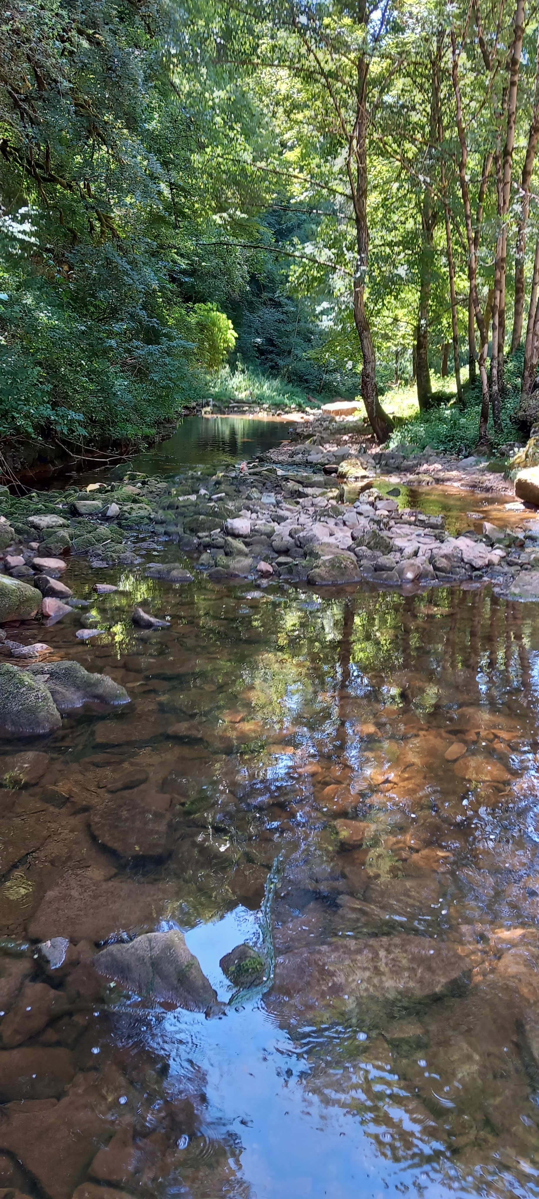 Photo n° 1 de l'avis de Johann.r fait le 17/07/2023 à 15:23