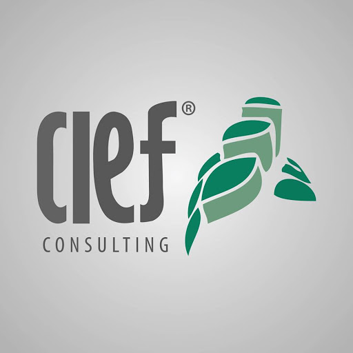 CIEF Consulting