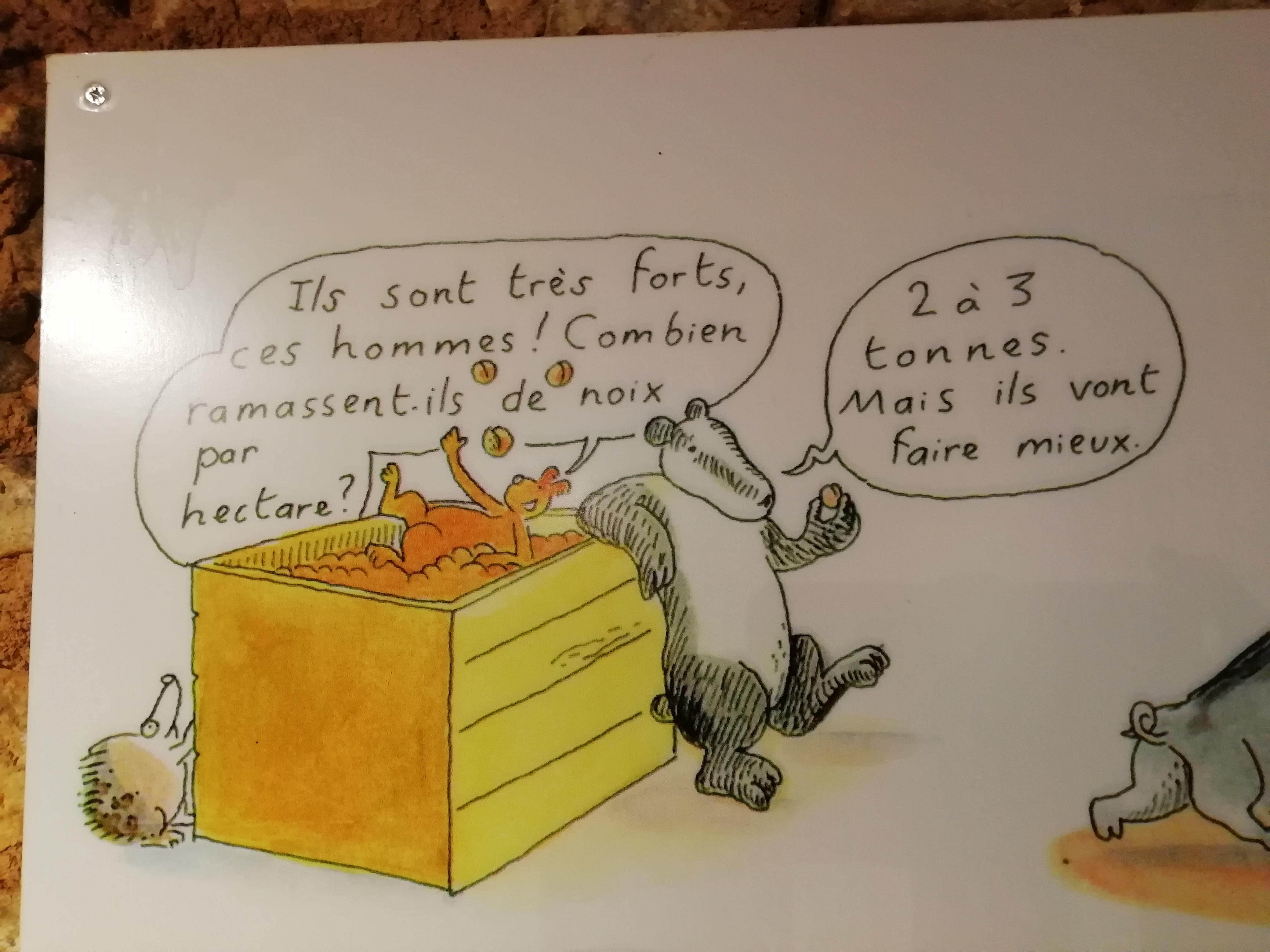 Photo n° 8 de l'avis de Laure.a fait le 16/10/2019 à 07:27