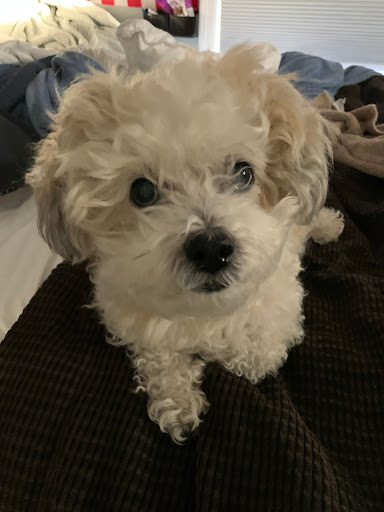 10 Westfield Ave, Ansonia, CT 06401, USA