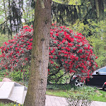 Photo n°4 de l'avis de Ahtiwsor. fait le 21/04/2024 à 16:22 sur le  Forsthaus Ferienhotel am Dobrock à Wingst