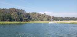Emerson Park'in fotoğrafı vahşi alan