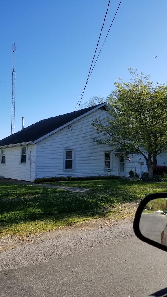 Roses Curl & Swirl 61542