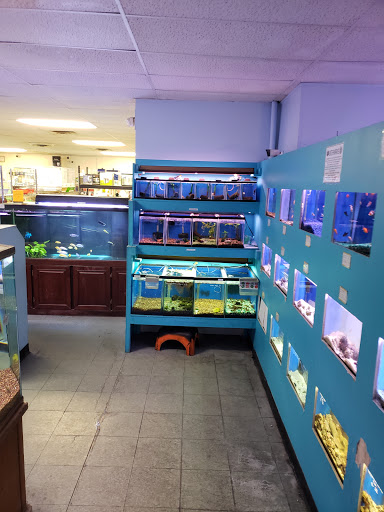 Tropical Fish Store «Monfort Aquarium & Pet», reviews and photos, 6520 Colerain Ave, Cincinnati, OH 45239, USA