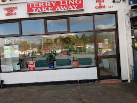 Terry Ling's Chinese & Fish Bar