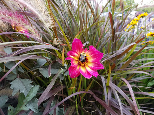 Movie Theater «Cinemark Fort Collins», reviews and photos, 4721 S Timberline Rd, Fort Collins, CO 80525, USA