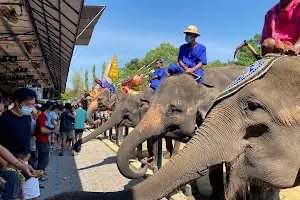 Sam Phran Elephant Ground and Zoo image