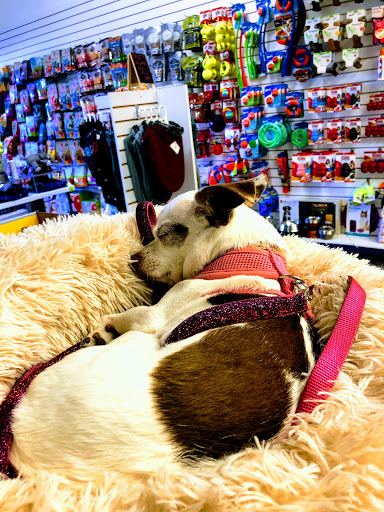 Pet Supply Store «Sonoma Pet and Aquatics», reviews and photos, 201 W Napa St #7, Sonoma, CA 95476, USA