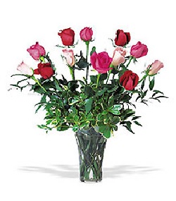 Florist «Shaw And Boehler Florist», reviews and photos, 31 Clinton Ave, Cortland, NY 13045, USA