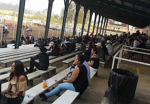 Rodeo «Molalla Buckeroo Association», reviews and photos, 815 Shirley St, Molalla, OR 97038, USA