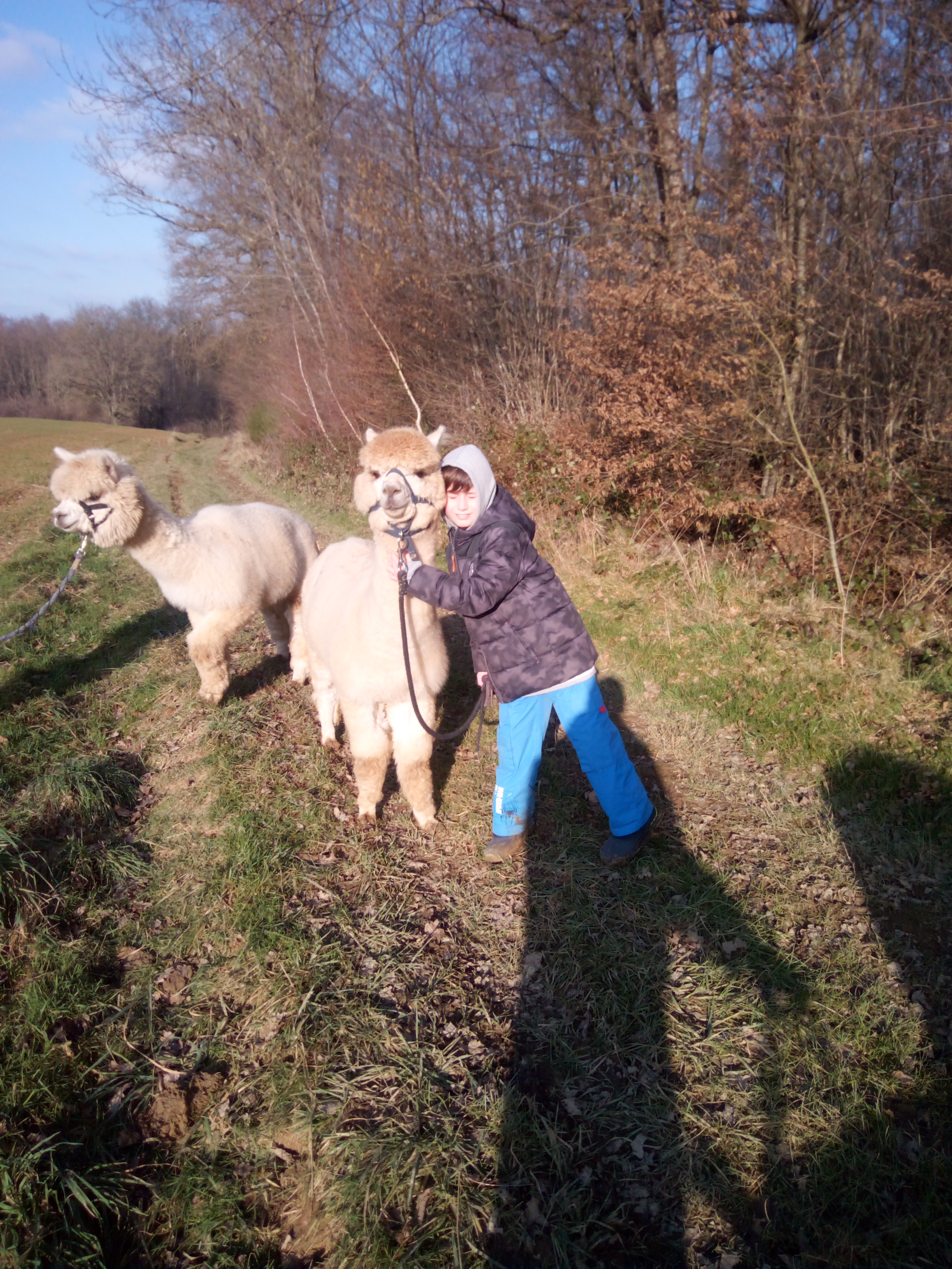 Photo n° 7 de l'avis de virginie.u fait le 22/01/2022 à 17:29