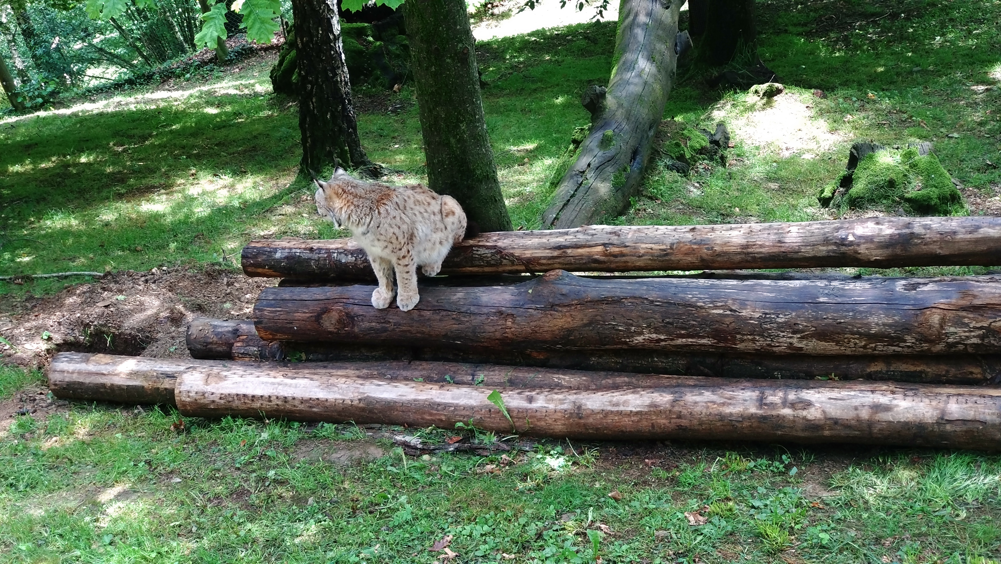 Photo n° 1 de l'avis de David.e fait le 28/05/2023 à 11:55