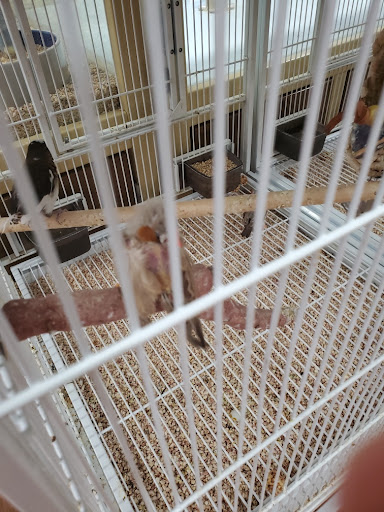 Pet Supply Store «Pet Supermarket, Inc.», reviews and photos, 9579 Bill Arp Rd #21, Douglasville, GA 30135, USA