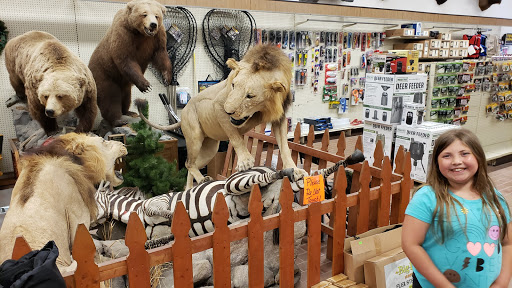 Sporting Goods Store «Ohio Outdoor Sports», reviews and photos, 2314 Shepler Church Ave SW, Canton, OH 44706, USA